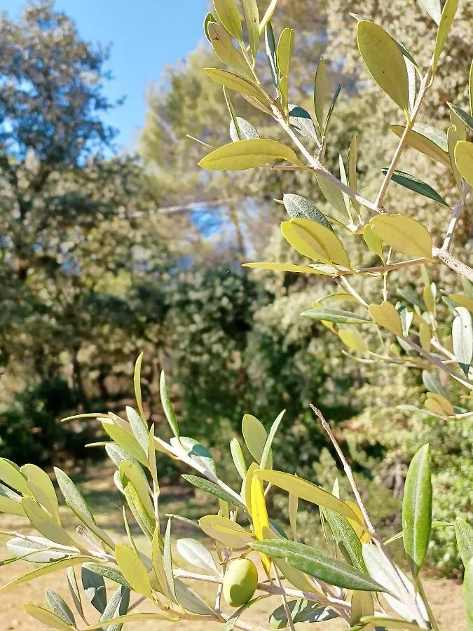 Apartment Studio Avec Jardin Entre Aix-En-Provence, Luberon Et Verdon Peyrolles-en-Provence